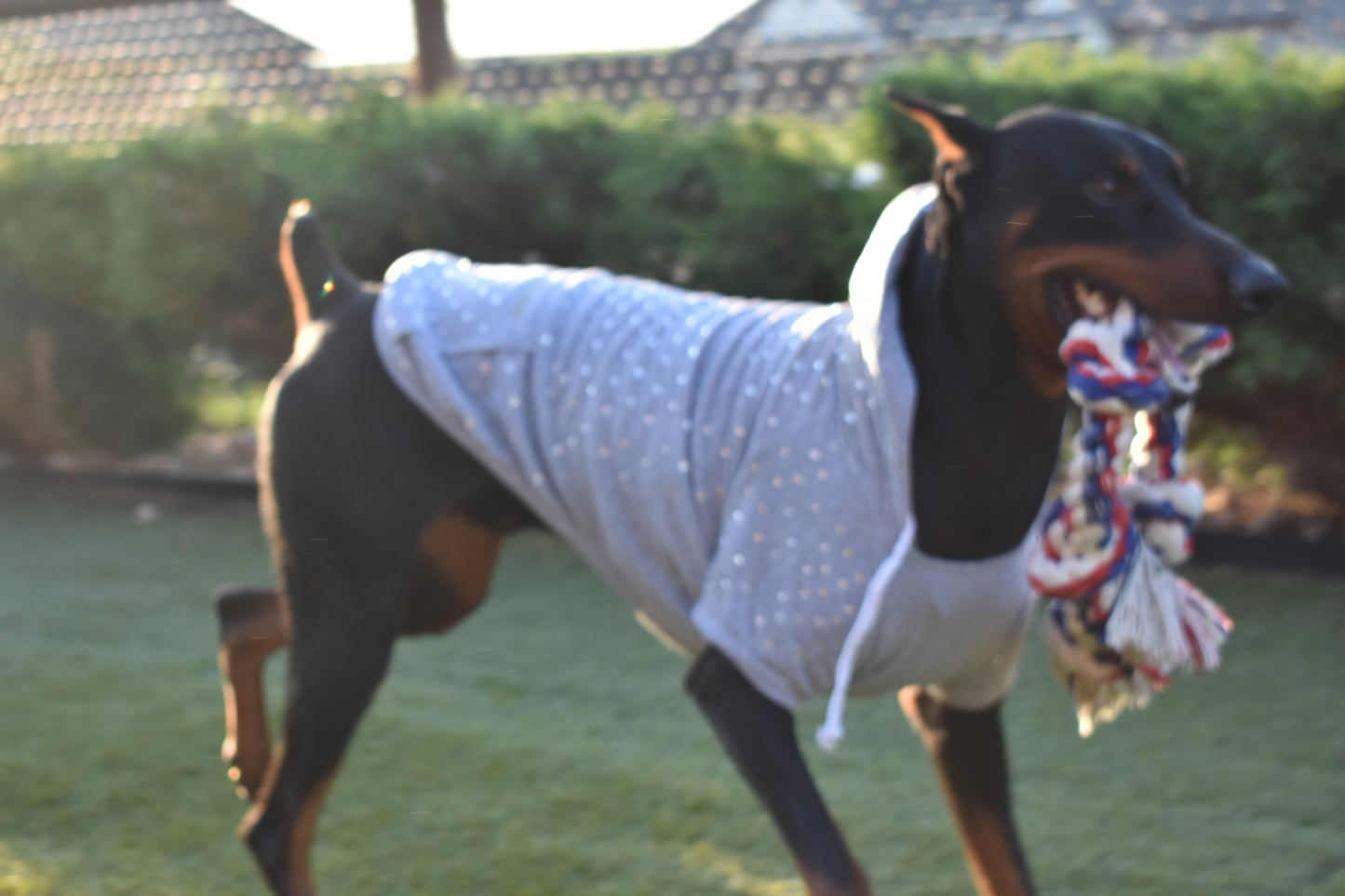Rhinestone Hoodie