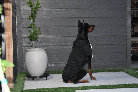 Black Rhinestone Hoodie